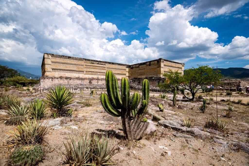 Private tour of Mitla Oaxaca ruins with exclusive mezcal tasting experience for luxury travelers.